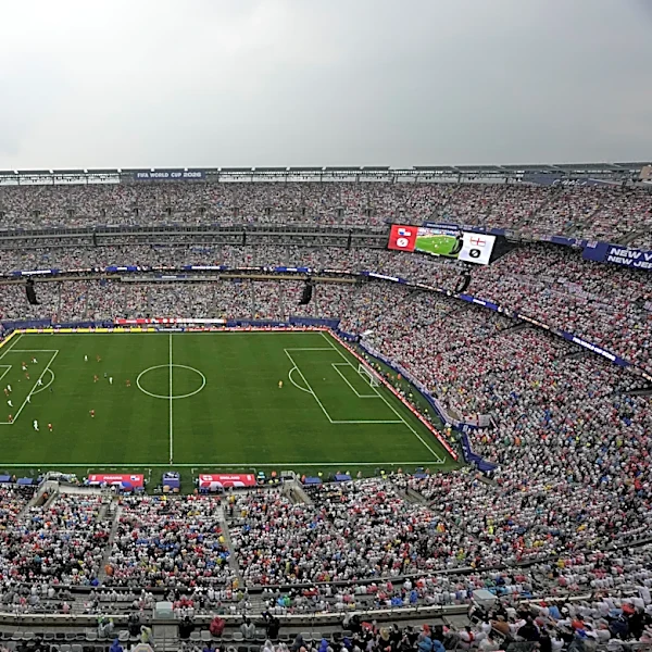 FIFA selling the field to be used for the World Cup final in $450 pieces