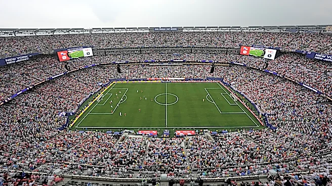 FIFA selling the field to be used for the World Cup final in $450 pieces
