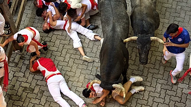 One runner gored in the face at Spain's San Fermin bull run festival