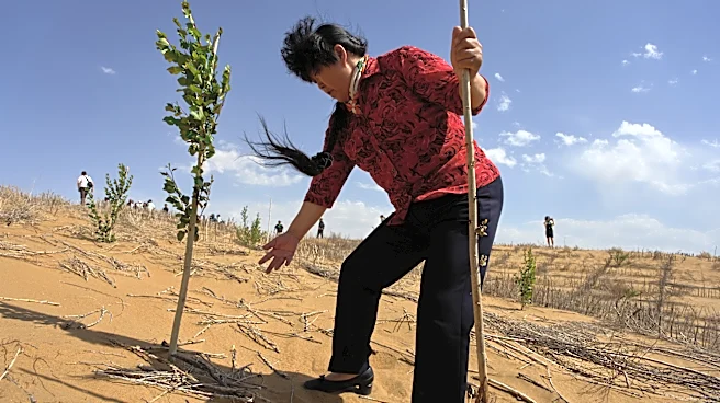 China’s 'Green Great Wall' tames desert growth, but scientists warn the fight is not over