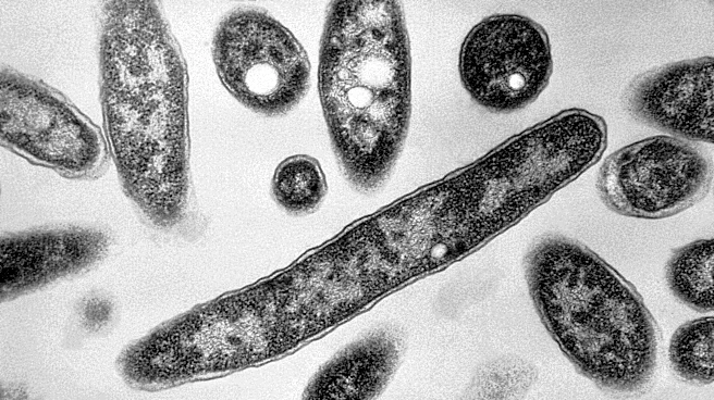 New diagnoses slow in NYC Legionnaires' disease outbreak; source still unclear