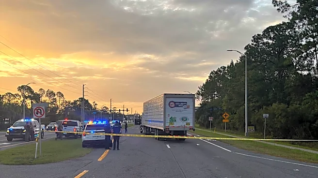 Man fleeing immigration officers in Florida is struck and killed by tractor trailer, police say