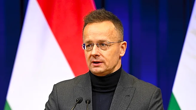 Former Hungarian foreign minister resigns from parliament for job with Chinese automaker