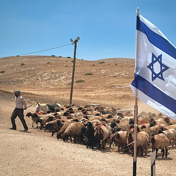 PHOTO ESSAY: Palestinian shepherds endure life alongside Israeli settler outposts
