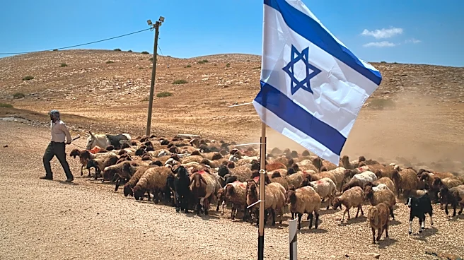 PHOTO ESSAY: Palestinian shepherds endure life alongside Israeli settler outposts