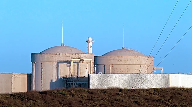 No radiation leak after 'contamination' events at Africa's only nuclear plant, regulator says