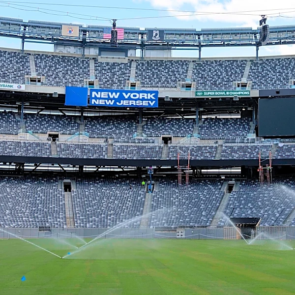 The World Cup final will be played on turf with mixed reviews. Rain might help