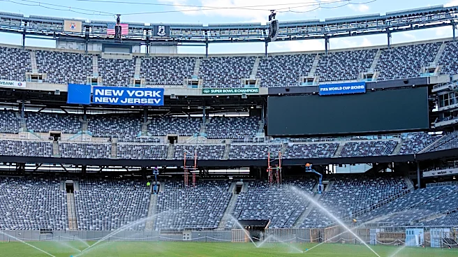 The World Cup final will be played on turf with mixed reviews. Rain might help