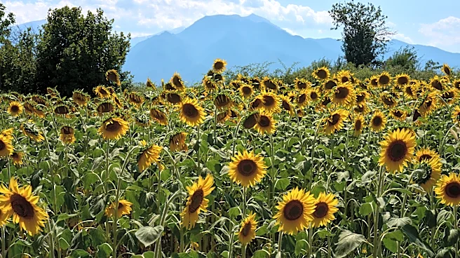 Mount Olympus, home of the ancient Greek gods, vies for World Heritage status