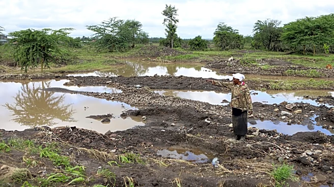 Conflicts and energy shocks threaten progress against global hunger, UN agency head warns