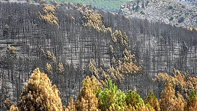 Firefighters battle one of Spain's biggest-ever wildfires during heat wave across the Mediterranean