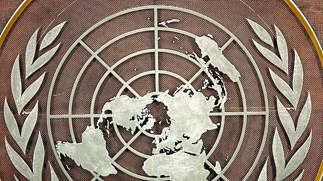 Demand for critical minerals fuels conflict but could help resource-rich nations, WTO says