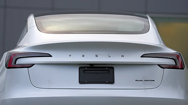 Earnings at Musk's car company fall as research spending cut into profit from selling cars