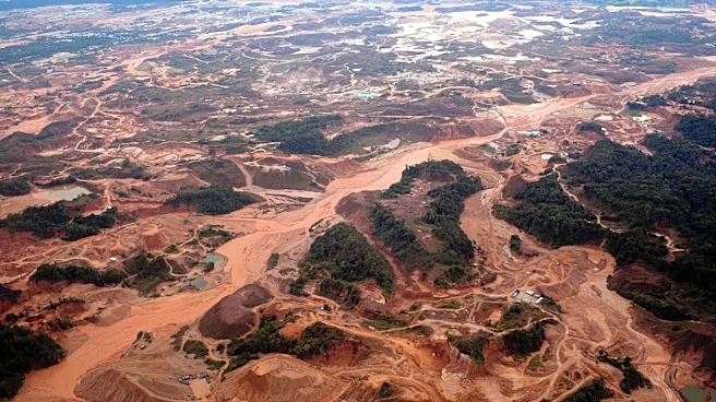 South American trade bloc's top court takes up unprecedented Peru illegal mining case