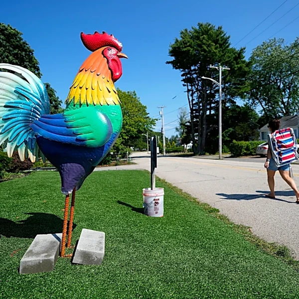 Giant metal roosters spread autism acceptance in Maine after town zoning spat