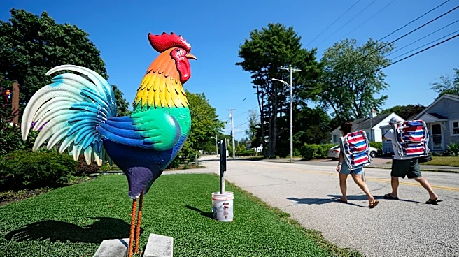 Giant metal roosters spread autism acceptance in Maine after town zoning spat