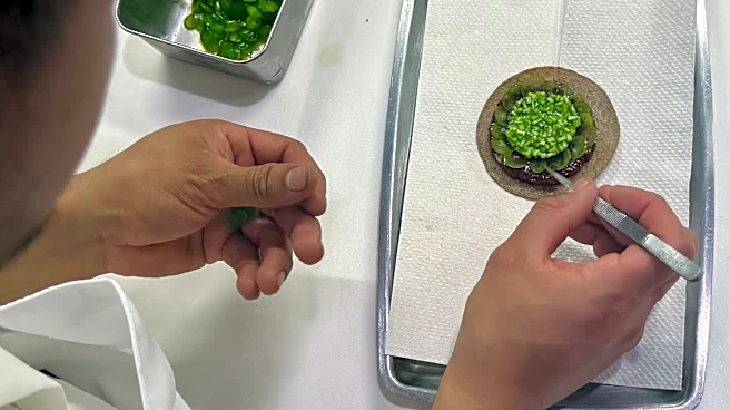 With a historic 3 Michelin stars, a Mexican restaurant in San Francisco defies stereotypes