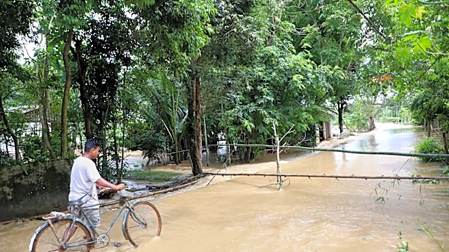 At least 50 people killed and 700,000 displaced by India floods after monsoon rains