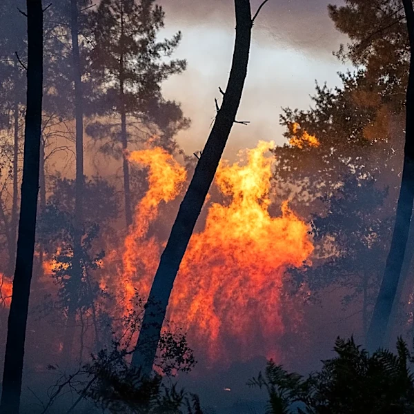 Wildfires in Spain and southern France force tens of thousands to evacuate