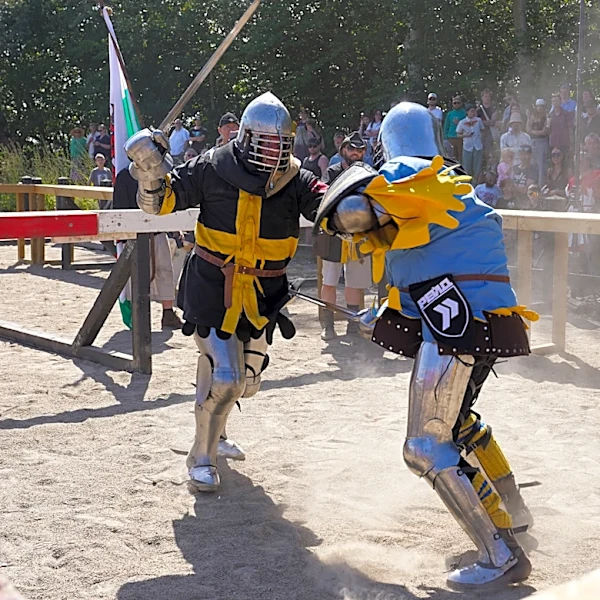 With swords, axes and shields, fighters go head-to-head in medieval combat world championship