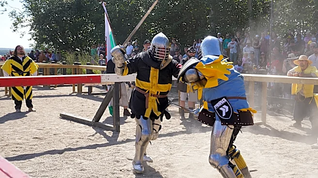 With swords, axes and shields, fighters go head-to-head in medieval combat world championship