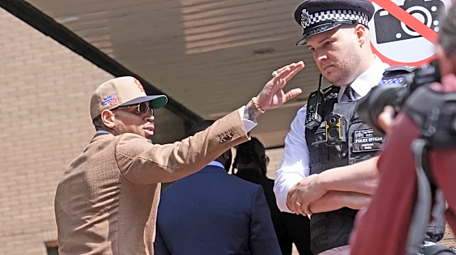Singer Chris Brown pleads guilty to brawling at a London nightclub