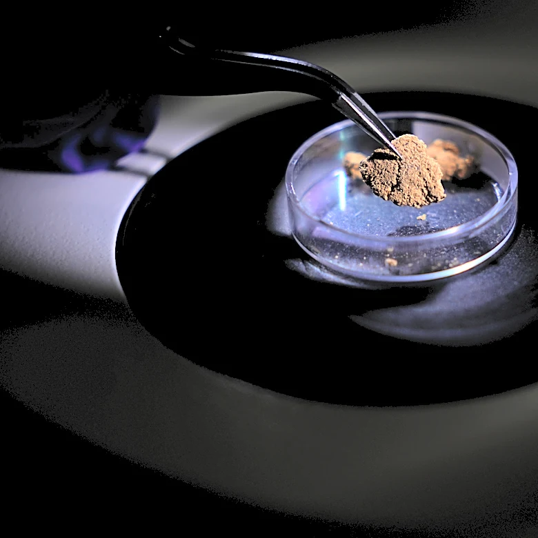 Brazil uses forensic science to trace gold's origin and tackle illegal mining in the Amazon