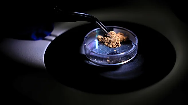 Brazil uses forensic science to trace gold's origin and tackle illegal mining in the Amazon