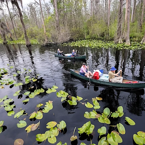 Georgia's Okefenokee Swamp among new additions to join UNESCO's World Heritage List