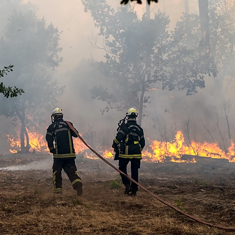 Wildfire leads to evacuations in some suburbs of the French city of Bordeaux