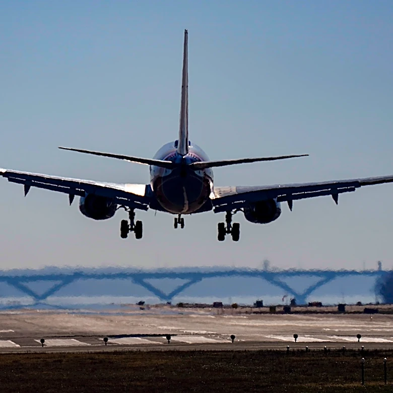 Jetting off for a summer vacation? How to eat and drink to minimize jet lag