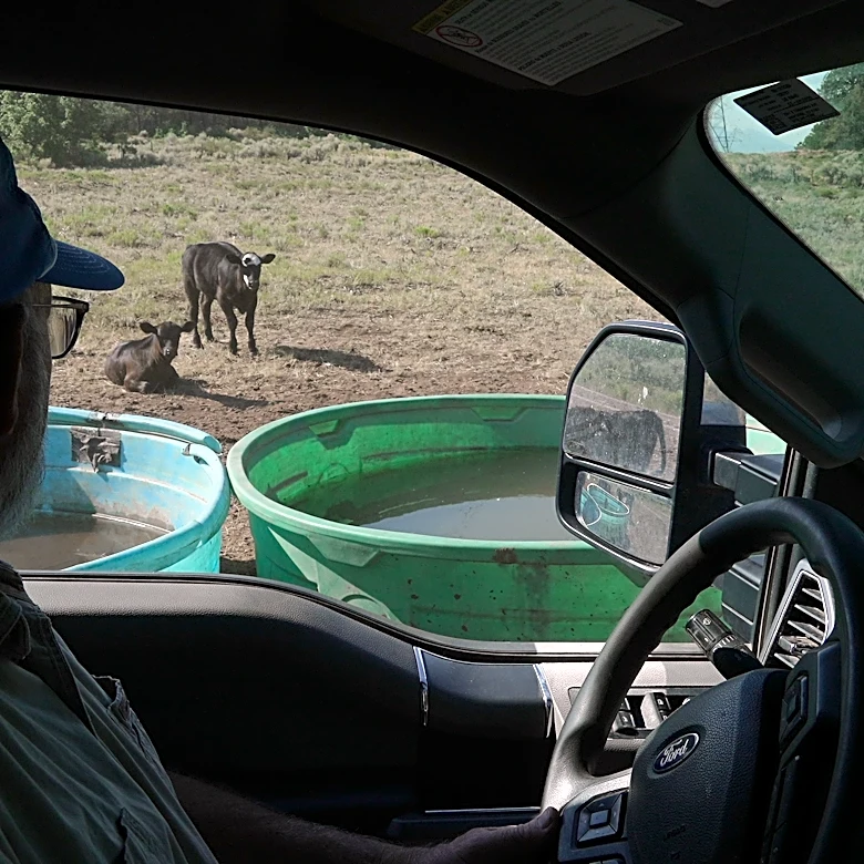 Water hauling is the new chore no rancher asked for