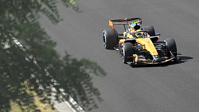 Norris ends wait for F1 win in Hungary as Antonelli stretches championship lead