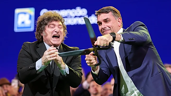 Brazil recalls ambassador after Argentina's President Milei insults government officials
