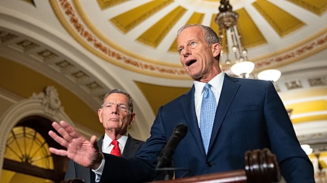 Trump demands Senate cancel August break until it passes voting bill