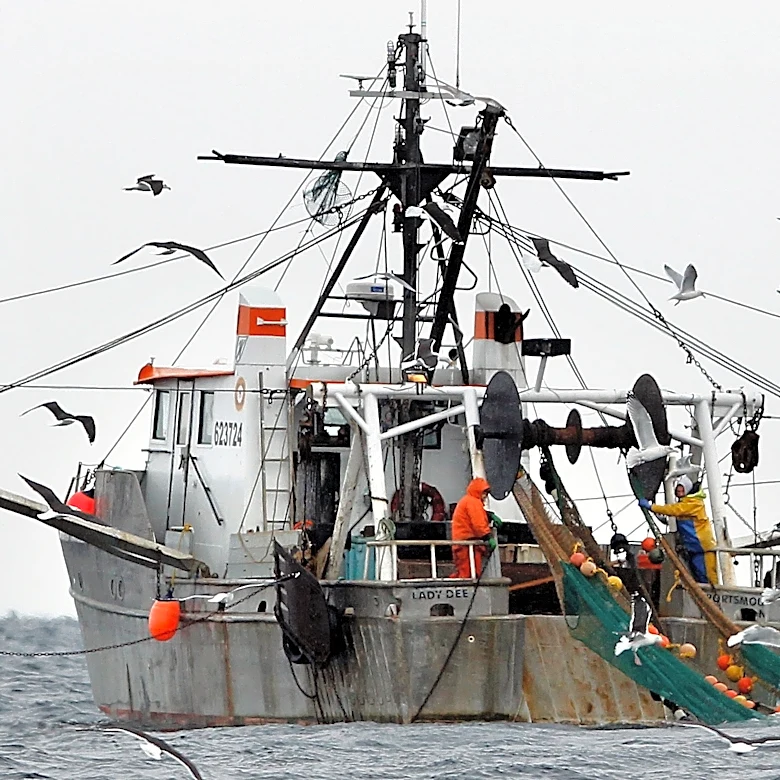 NOAA report finds Gulf of Maine warming slowed for now, but ecosystem remains unstable
