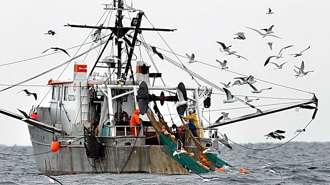 NOAA report finds Gulf of Maine warming slowed for now, but ecosystem remains unstable