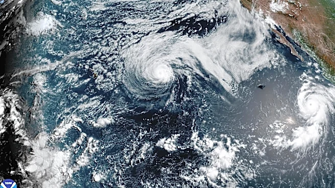 Major hurricane Genevieve roars in the Pacific as Fausto weakens to a tropical storm near Hawaii