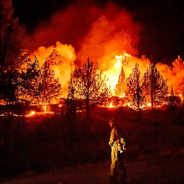 Wildfires are more extreme in Europe and North America, but global burning is oddly decreasing