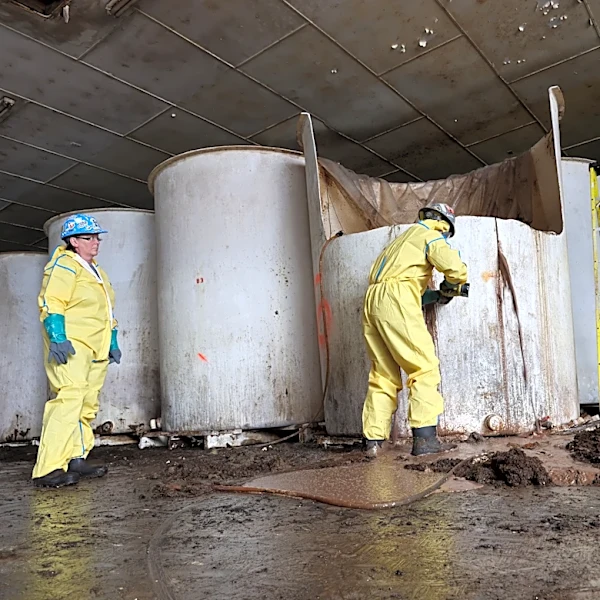 Rotten fish sauce that has long stunk up a small Canadian town is finally being removed