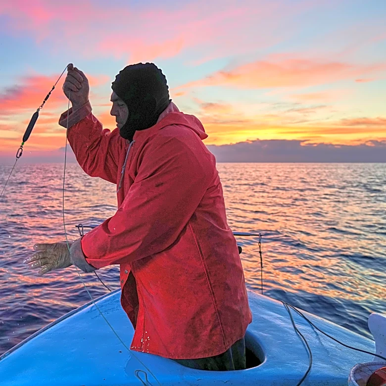 The Mediterranean's warming waters are drawing hundreds of invasive species