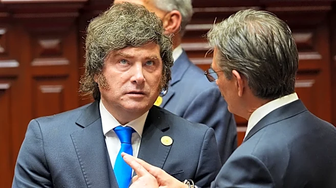 Milei empowers Argentina to bar or deport foreigners over hateful remarks about the country