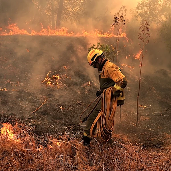 Human-caused climate change made Spanish, French fires much more likely, scientists calculate