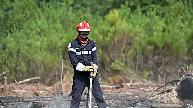 As heat and dry conditions fan wildfires in France, volunteers fan out to help