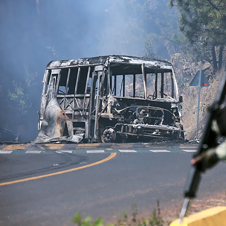 Man whose slain brother led Mexican cartel pleads guilty to drug charges in US