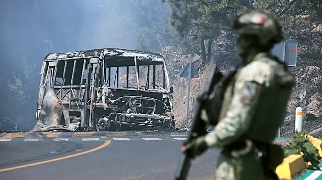 Man whose slain brother led Mexican cartel pleads guilty to drug charges in US
