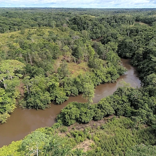 Colombia's deforestation rises slightly as Amazon forest loss holds steady