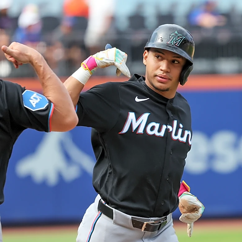 Sanoja, Conine homer to help the Marlins beat the Mets 6-2