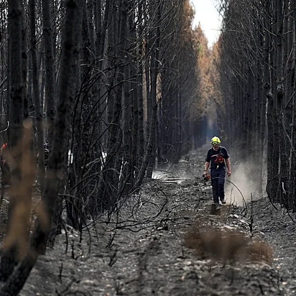 French wildfire near Bordeaux contained as 1,500 firefighters battle separate blaze in Provence
