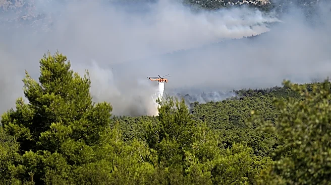 From Athens to Bordeaux, Europe’s wildfire emergency rages on